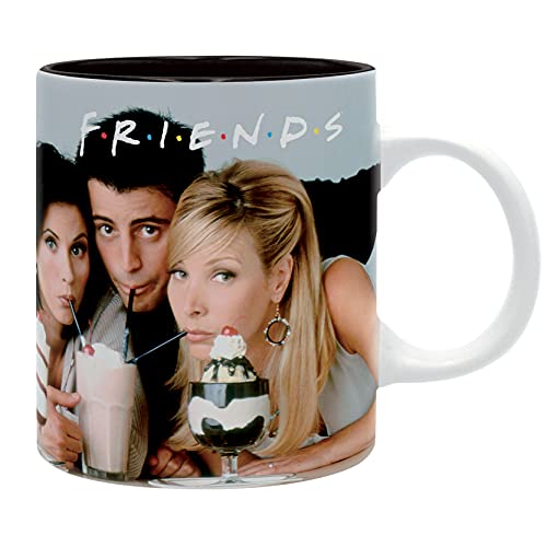 ABYstyle FRIENDS - Taza (320 ml, foto vintage...